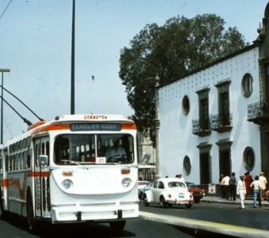 Strenia - 1980 Cruz del
                    Sur